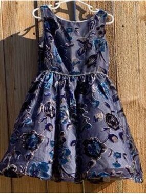 Pippa & Julie Navy Blue Floral Velvet Party Dress